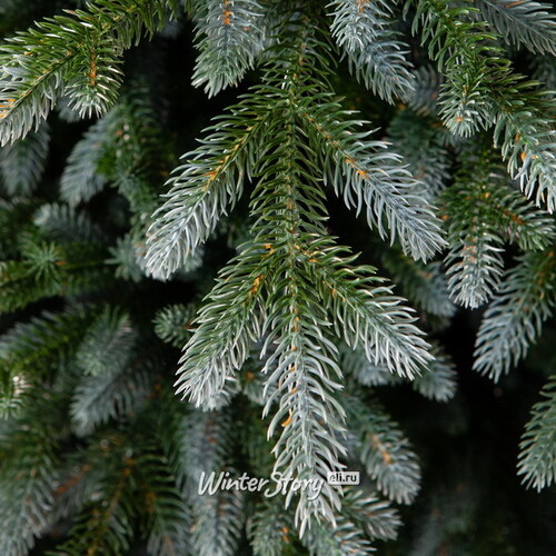 Искусственная елка Изумрудная Эдит 225 см, ЛИТАЯ 100% Crystal Trees