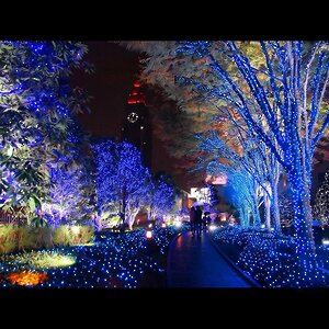 Гирлянды на дерево Клип Лайт Legoled 30 м, 225 синих LED, черный КАУЧУК, IP54 BEAUTY LED фото 2