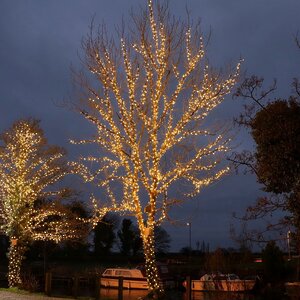 Светодиодное дерево «Рябина»